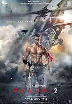 Poster of BAAGHI 2